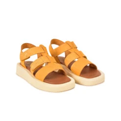 Pataugas ATARI/NU F2I OCRE -Pataugas French Boutique SANDALE FEMME ATARI NU F2I OCRE 628448 251 4 0fc7fac9 5088 4f30 8f1a 4cc7a3bacf39